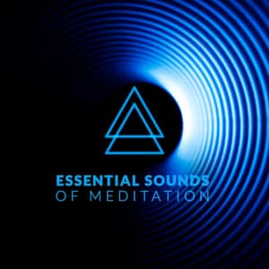 Essential Sounds of Meditation: Fresh 2020 Ambient Rhythms for Best Experience of Yoga, Meditation and Contemplation - Yin Yoga Music Collection