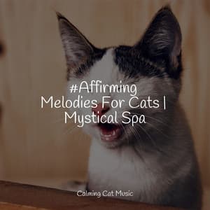 #Affirming Melodies For Cats | Mystical Spa - Music for Cats Project