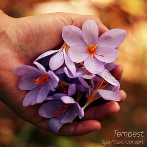 Tempest - Spa Music Consort