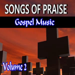 Songs for Praise Gospel Music, Vol. 2 - John White