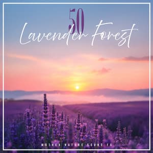 50 Lavender Forest - Mother Nature Sound FX