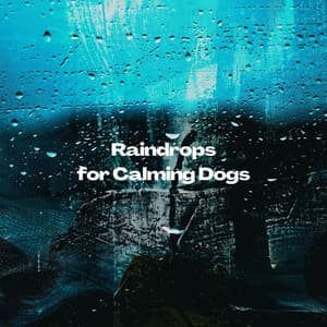 Raindrops for Calming Dogs - Rain Wonder