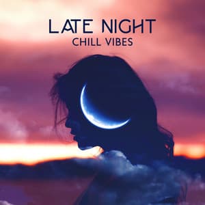 Late Night Chill Vibes - Chill Every Night Club