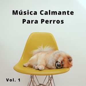 4 Patas, Música Calmante Para Perros Vol. 1 - Tiempo de relajación natural