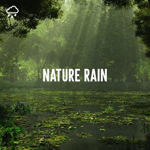 Nature Rain - Relaxing Rain Recordings
