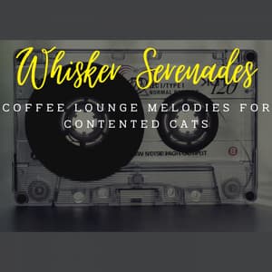 Jazz Whisker Serenades: Coffee Lounge Melodies for Contented Cats - Coffee Table Jazz
