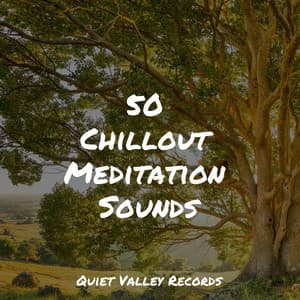 50 Chillout Meditation Sounds - Preschool Kids