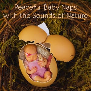 Peaceful Baby Naps with the Sounds of Nature - Ambient Nature project