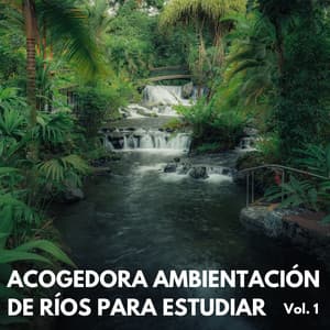 Acogedora Ambientación De Ríos Para Estudiar Vol. 1 - Cascada ruido blanco