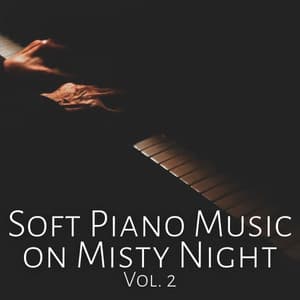 Soft Piano Music on Misty Night Vol. 2 - Spa Music Legends
