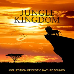 Jungle Kingdom - Collection of Exotic Nature Sounds: Therapy & Healing Relaxation - Exotic Nature Kingdom