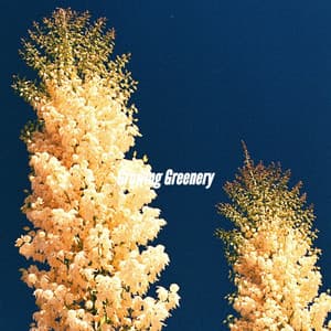 Growing Greenery - French Cafe Jazz Lounge