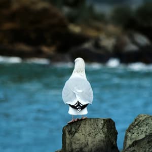 Swells of Peace - Christa Scott