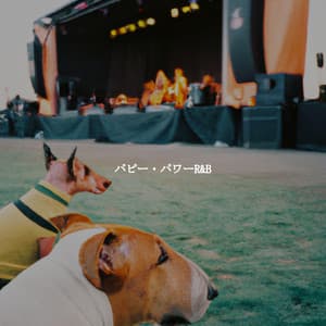 パピー・パワーR&B - Cafe Müzik Radyo