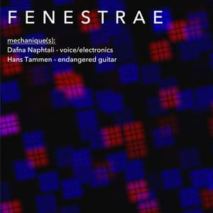 Fenestrae - Dafna Naphtali