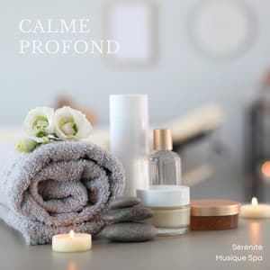 Calme Profond: Musique Relaxante De Spa - Sérénité Musique Spa