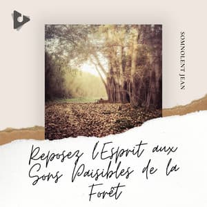 Reposez l'Esprit aux Sons Paisibles de la Forêt - Somnolent Jean