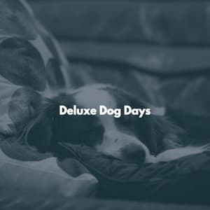 Deluxe Dog Days - Jazz Rilassante Primo