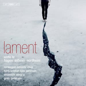 Lament - Nils Henrik Asheim