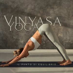 Vinyasa Yoga – Il Punto Di Equilibrio - Kassandra Yoga