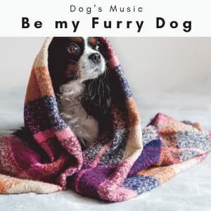 2 0 2 3 Be my Furry Dog - Dog's Music
