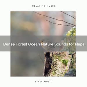 Dense Forest Ocean Nature Sounds for Naps - JBE Nature Sounds