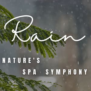 Spa Rain Oasis: Therapeutic Sounds for Spa & Massage - Cosmic Space Traveler