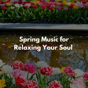 Spring Music for Relaxing Your Soul - Musique de Fond Jazz