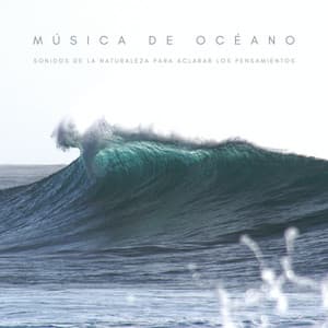 Música De Océano: Sonidos De La Naturaleza Para Aclarar Los Pensamientos - Las Olas Del Mar