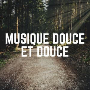 Musique Douce ET Douce - Attrape-rêves oasis