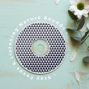 Stay Focus & Listening Nature Sounds : Piano Sounds & Cave Water - Easy Listening Relaxation Piano Radio