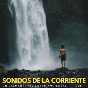 Sonidos De La Corriente: Un Calmante Río Suave Ambiental Vol. 1 - Aguas del diluvio