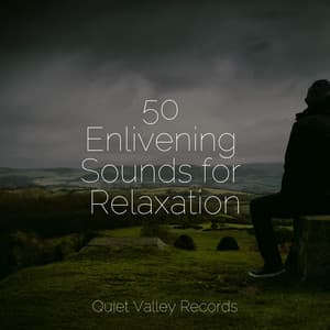 50 Enlivening Sounds for Relaxation - Deep Sleep Meditation