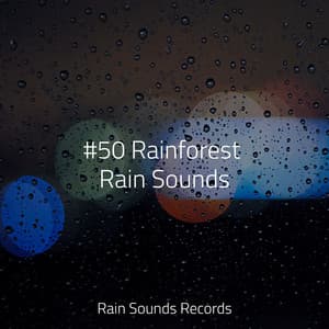 #50 Rainforest Rain Sounds - Calming Waves