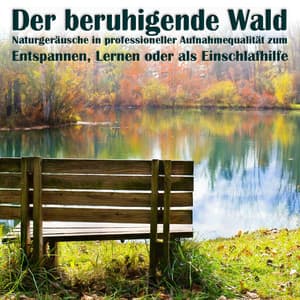 Der beruhigende Wald: Naturgeräusche in professioneller Aufnahmequalität zum Entspannen, Lernen oder als Einschlafhilfe - Waldgeräusche