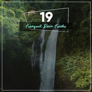 12 Ambient Rain Album for Practicing Yoga - Nature Sounds for Sleep and Relaxation