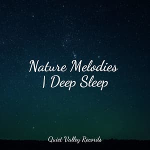 Nature Melodies | Deep Sleep - Avslappning Sound