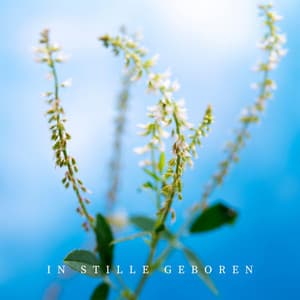 In Stille Geboren - Tiefenentspannung Oase