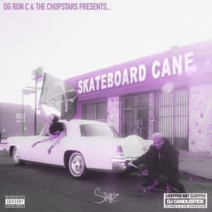 Skateboard Cane - Stockz