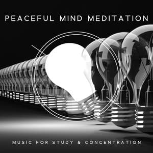Peaceful Mind Meditation - Music for Study & Concentration: Exam Study, Increase Brain Power, Relaxing Studying, Concentration Improve, Better Learning, Beautiful Minds, Yoga for Brain - Study Music 101