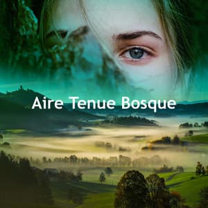 Aire Tenue Bosque - Música para Dormir Con Relajantes Sonidos de la Naturaleza