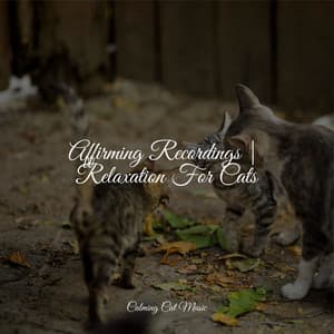 Affirming Recordings | Relaxation For Cats - Cat Music Dreams