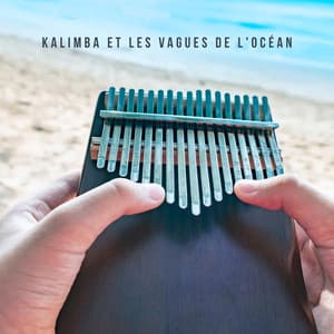Kalimba et les vagues de l'océan: Musique de fond relaxante pour soulager le stress - Musique de Réflexion Academy