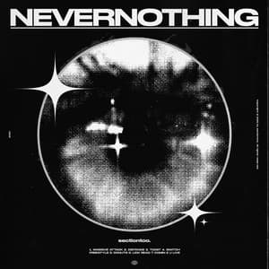 NEVERNOTHING - sectiontoo