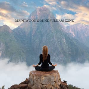 Meditation & Mindfulness Zone. Soothing New Age BGM to Achieve Peace of Mind, Meditation to Heal Your Mind, Spiritual Growth, Anxiety Relief, Healing Touch of Music in Your Home Sanctuary - Project!Yoga Meditation