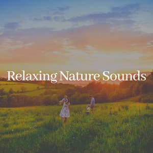 Relaxing Nature Sounds - Nature Sounds