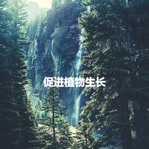 促进植物生长 - Calm Instrumental Coffee House
