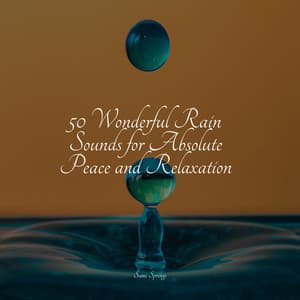 50 Wonderful Rain Sounds for Absolute Peace and Relaxation - Deep Sleep