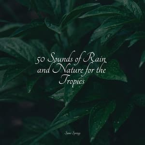 50 Sounds of Rain and Nature for the Tropics - Pro Sound Effects Library