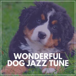 Wonderful Dog Jazz Tune - Coffee Shop Jazz Relax